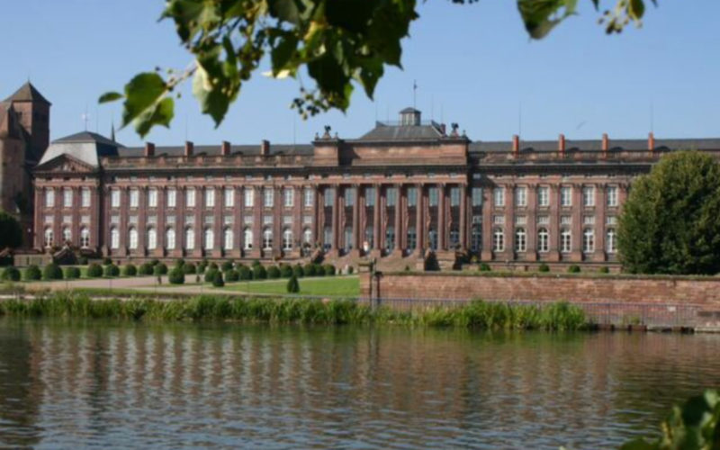 Un focus ressource chaque semaine ! 