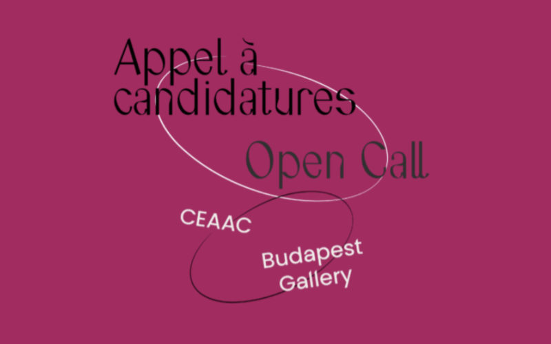 Un focus ressource chaque semaine !